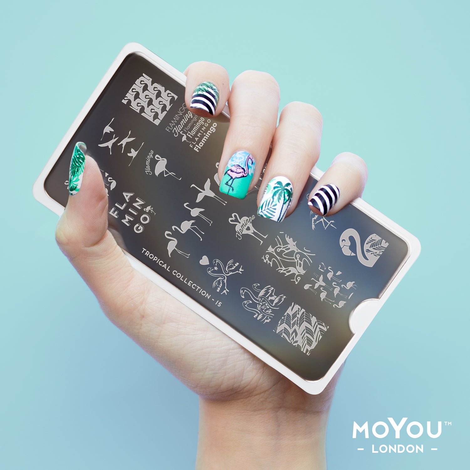 TROPICAL COLLECTION | Summer Nail Stamping Plates | MoYou London