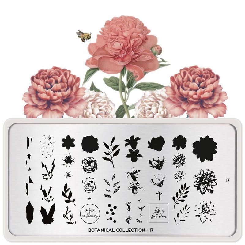 Botanical 17-Nail Art Stencils-[stencil]-[manicure]-[image-plate]-MoYou London