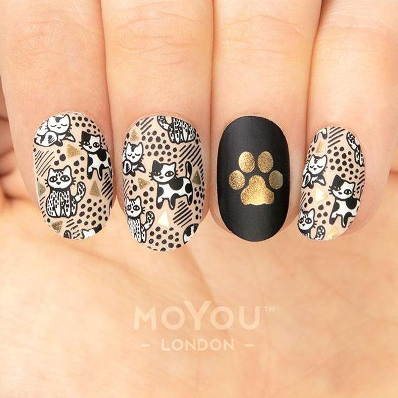 Crazy Cat Lady 07-Stamping Nail Art Stencil-[stencil]-[manicure]-[image-plate]-MoYou London